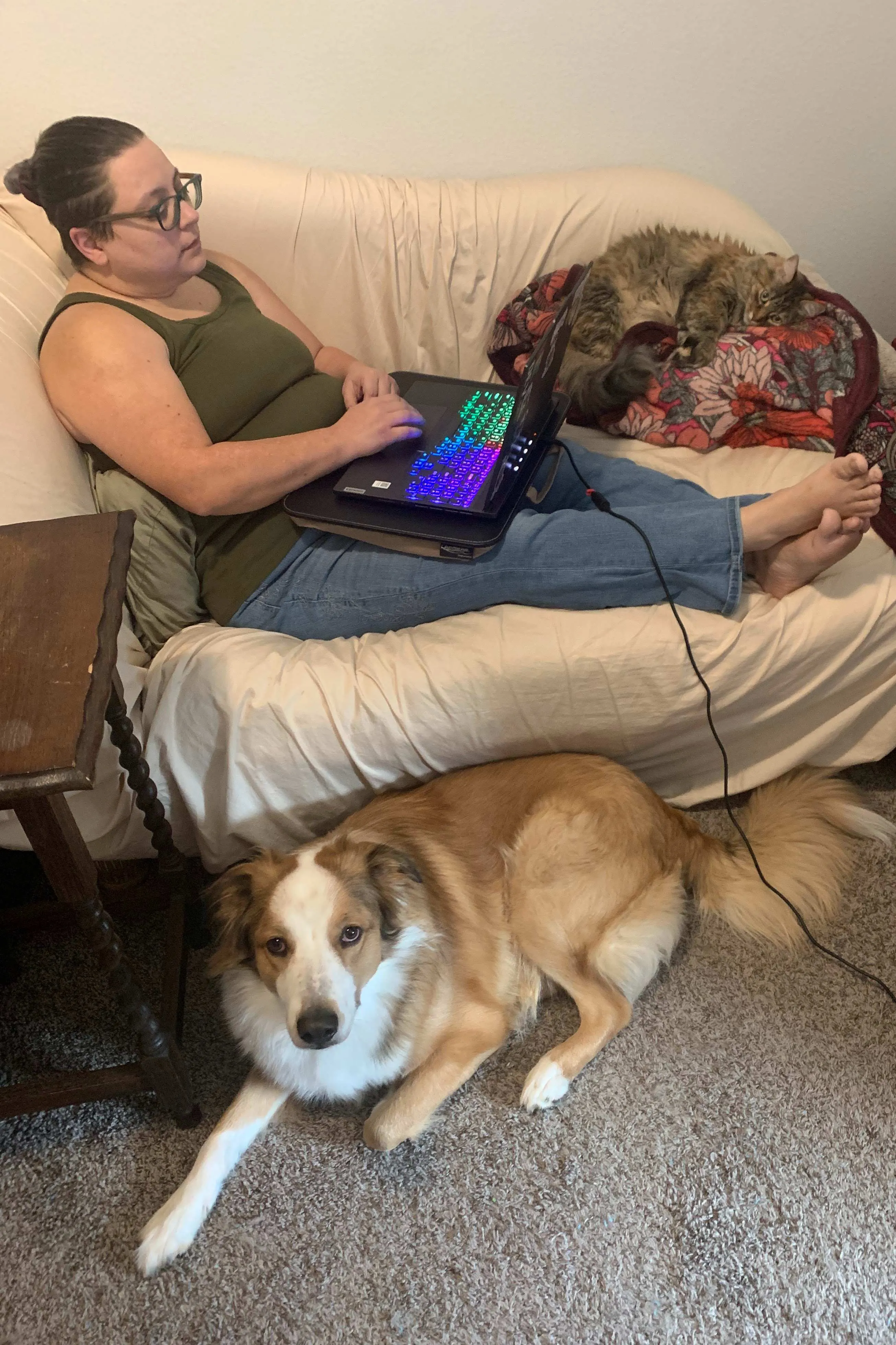A woman sits on a tan couch with a laptop in her lap, feet crossed at the ankles. On her left on the couch lays a black and tan long-haired cat on top of a pink blanket. On the floor at her feet lays a tan and white dog, gazing at the camera.